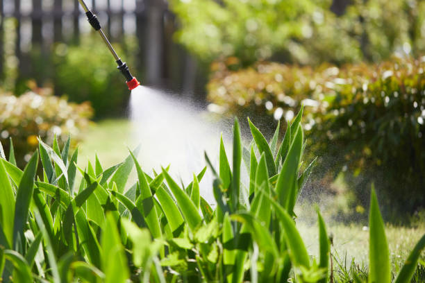 24/7 Emergency Mosquito Control experts in Niceville, FL